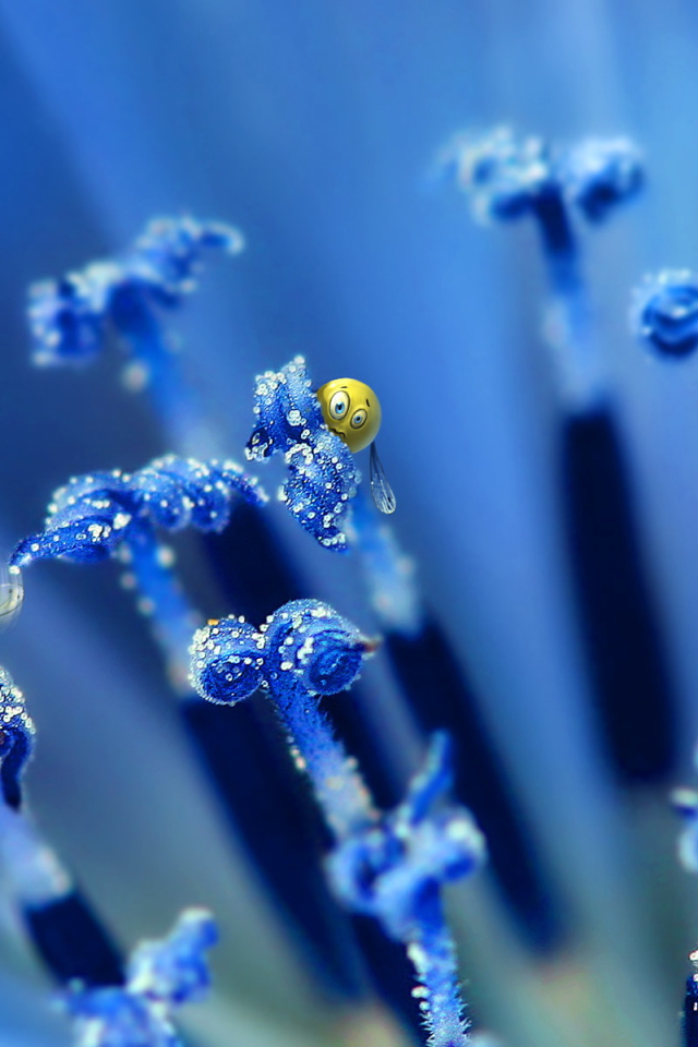 Цветочные пылинки