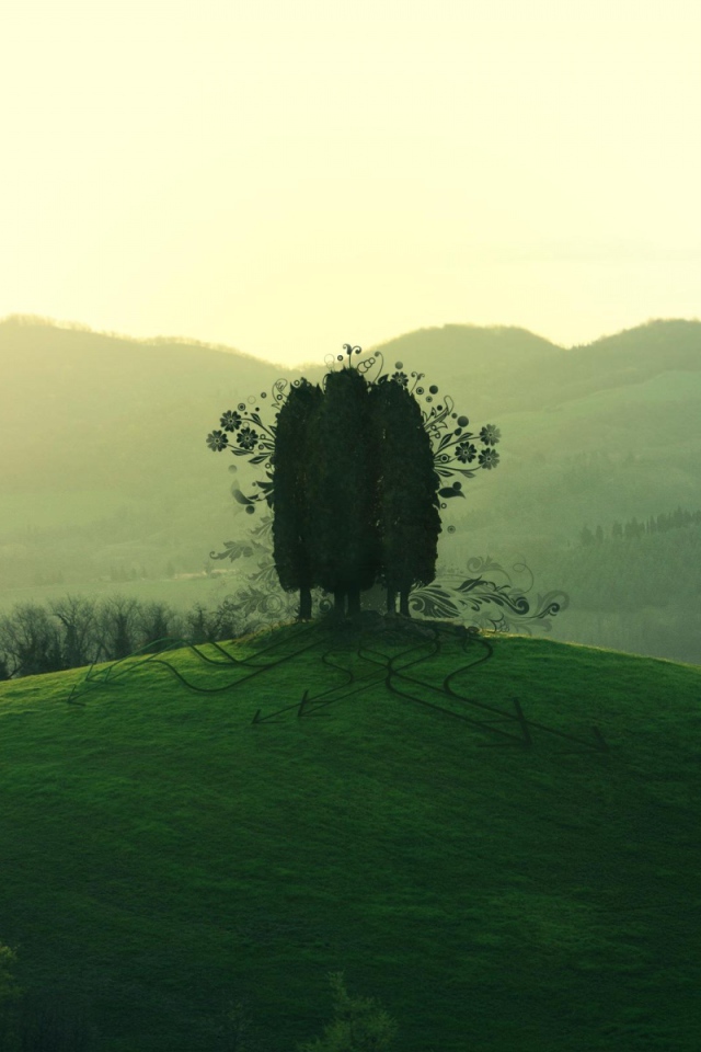 Дерево на зеленом холме