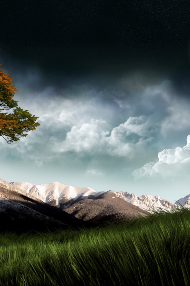 Луна над полем