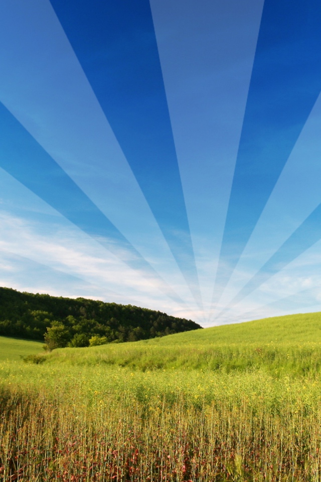 Открытый и свободный