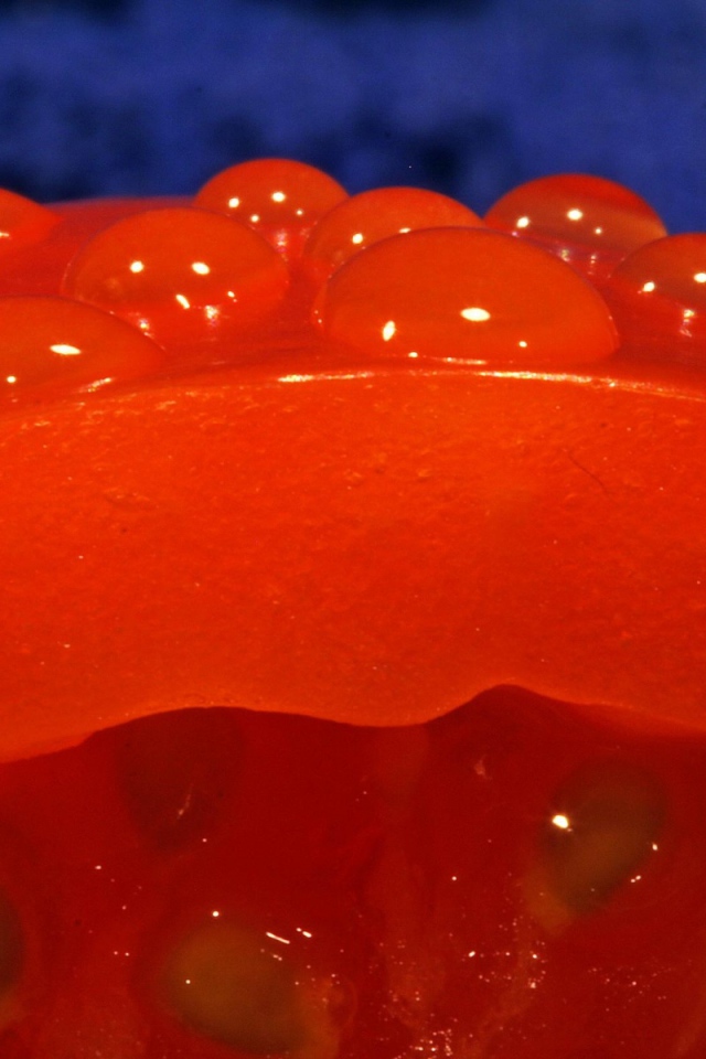 Красный помидор