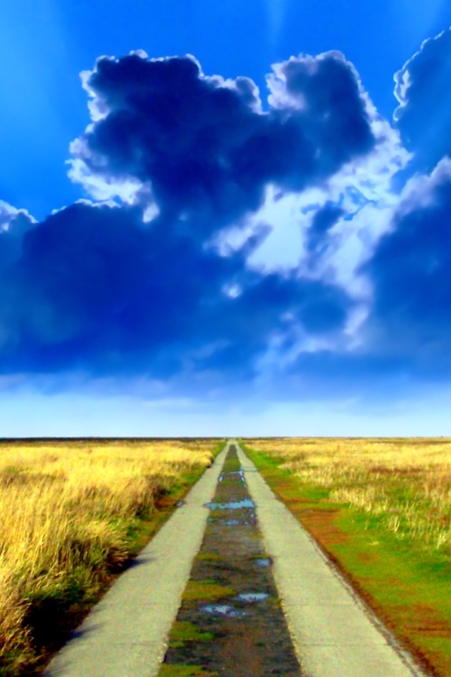 Дорога в никуда