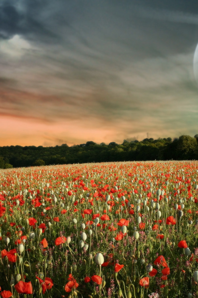 Паралельный мир