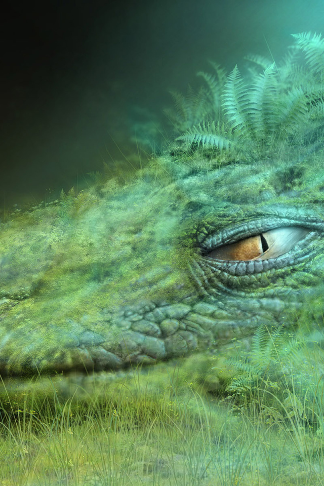 Голова дракона