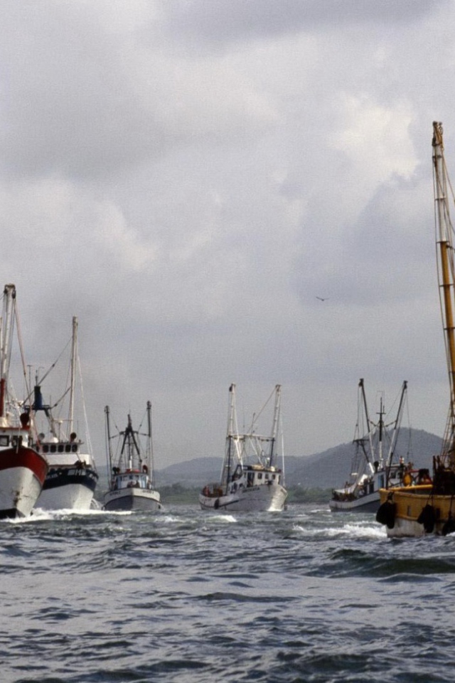 Суда в гавани