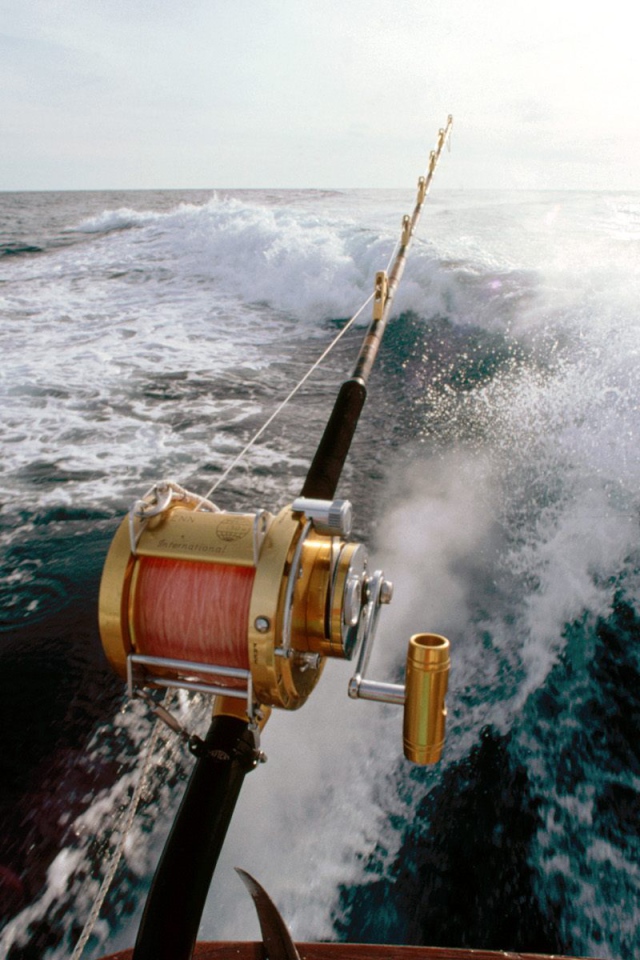 Спортивный лов рыбы