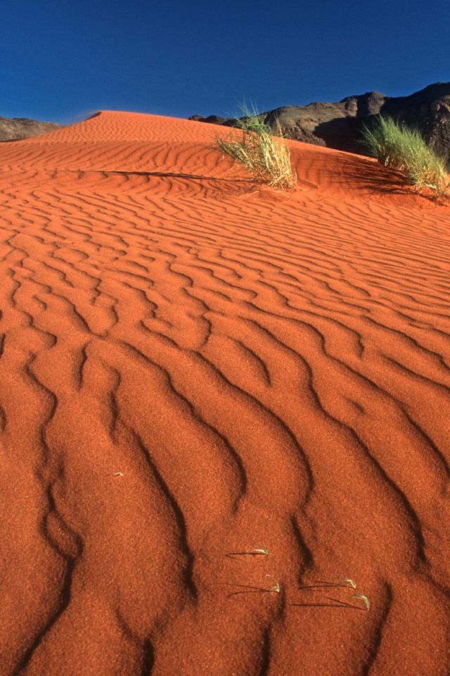Следы на Дюне / Заповедник Рэнда Namib / Намибия / Африка