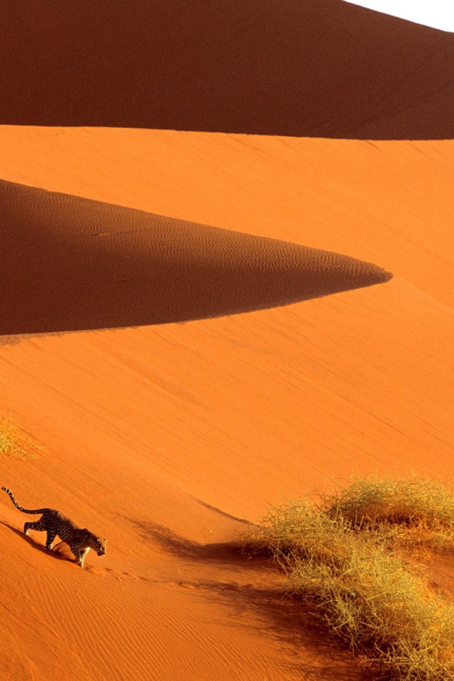 Пересечение Дюн Парка Sossusvlei / Намибия / Африка