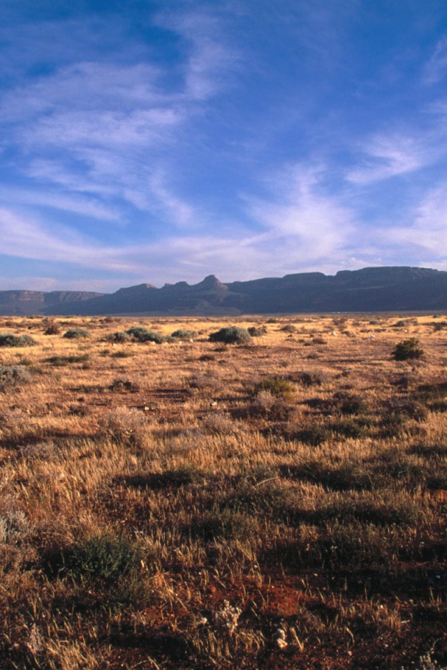 Karoo - Кару / Африка