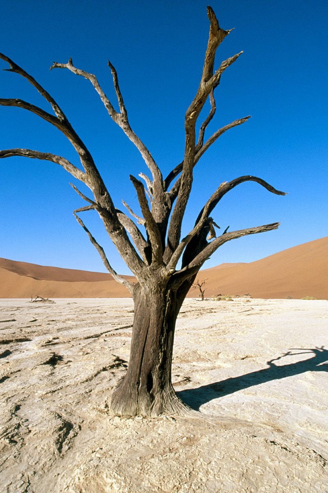 Парк Namib-Naukluft / Пустыня Намиб / Намибия / Африка