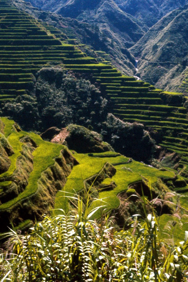 Древние Террасы Риса / Филиппины