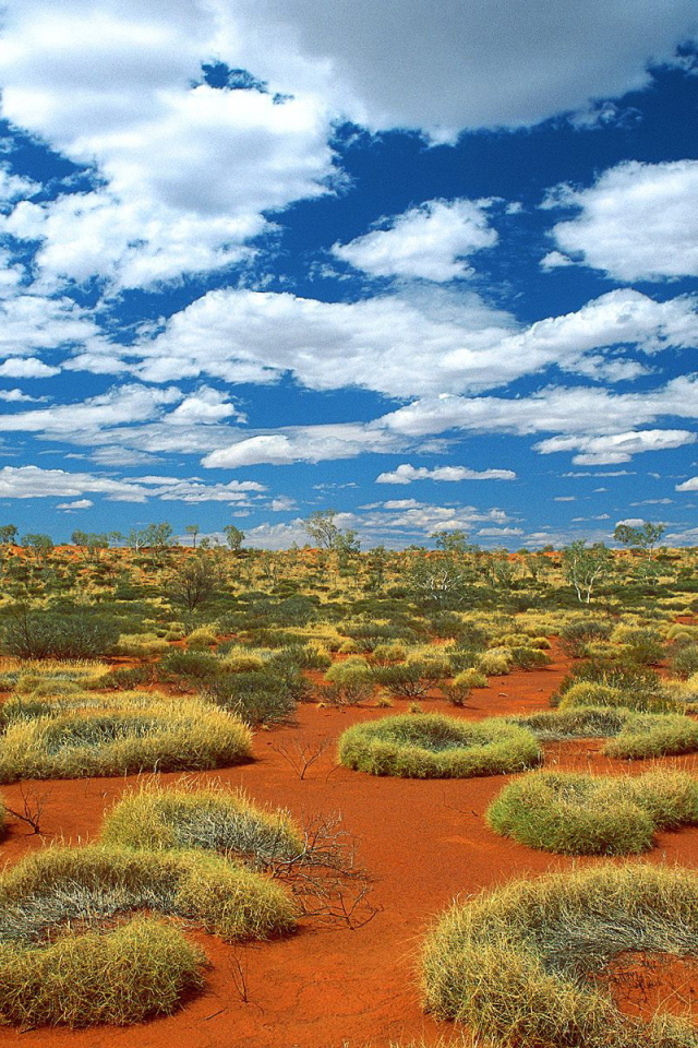 Australian Nature