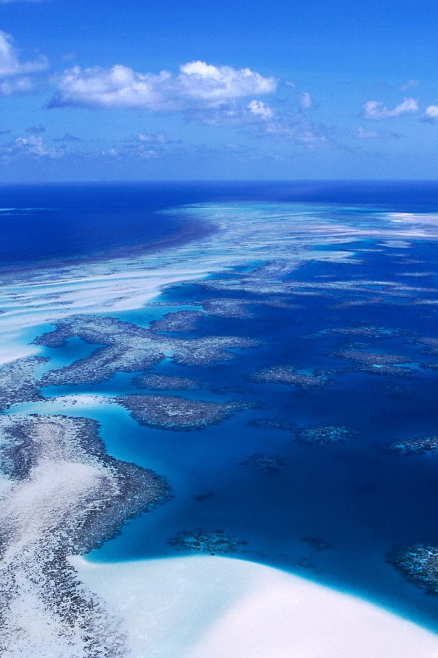 Коралловый риф / Острова Пролива Торреса / Австралия