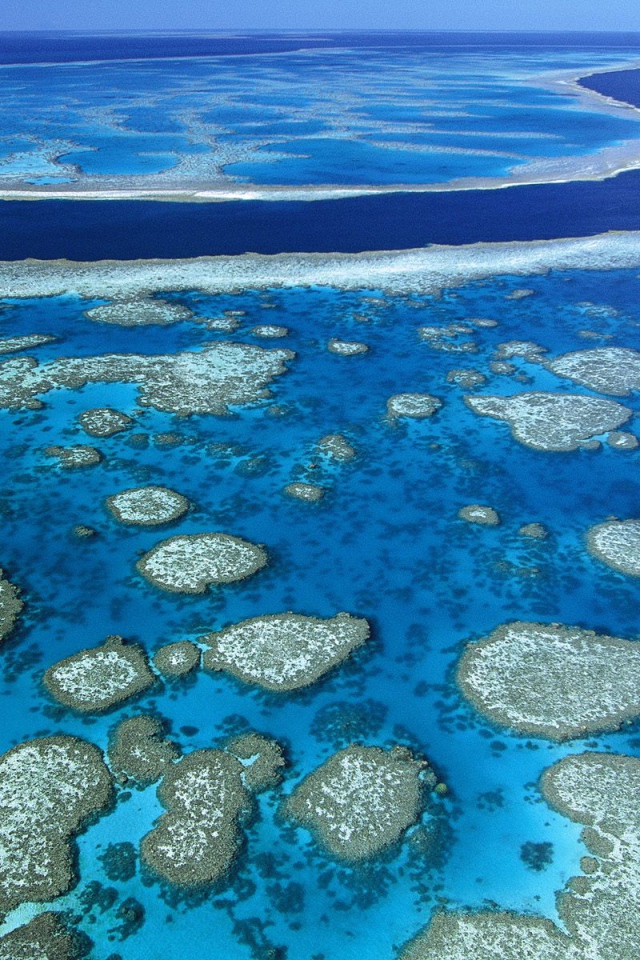  Большой Барьерный риф / Квинсленд / Австралия