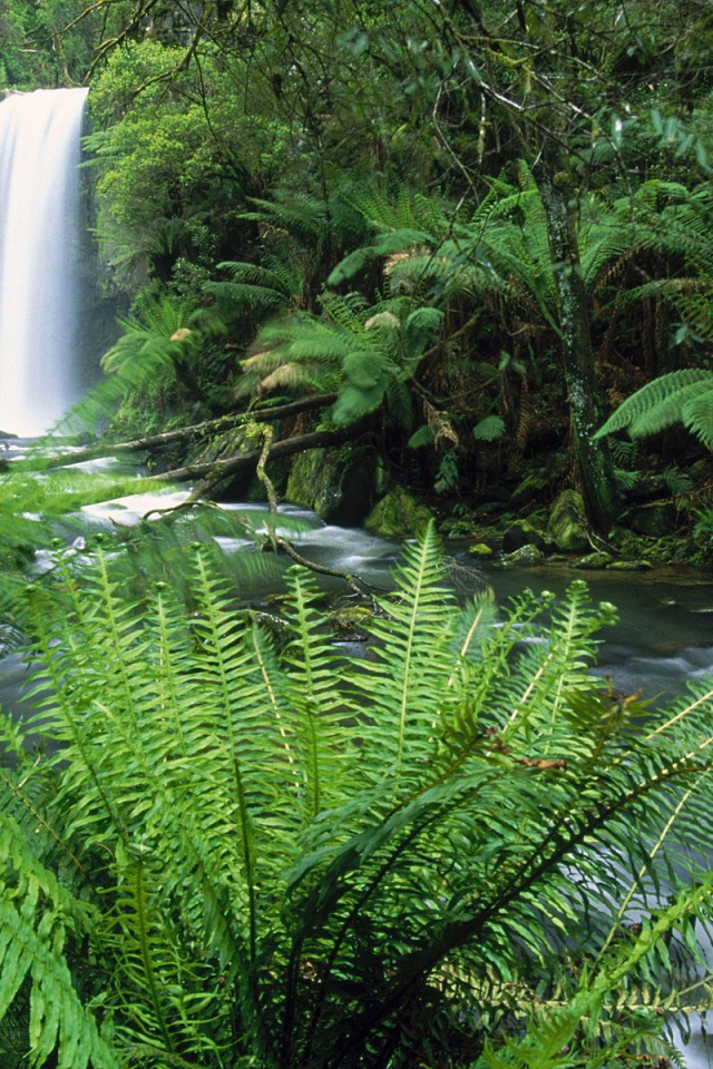 Водопады Хопетон / Местечко Отвэй / Виктория / Австралия