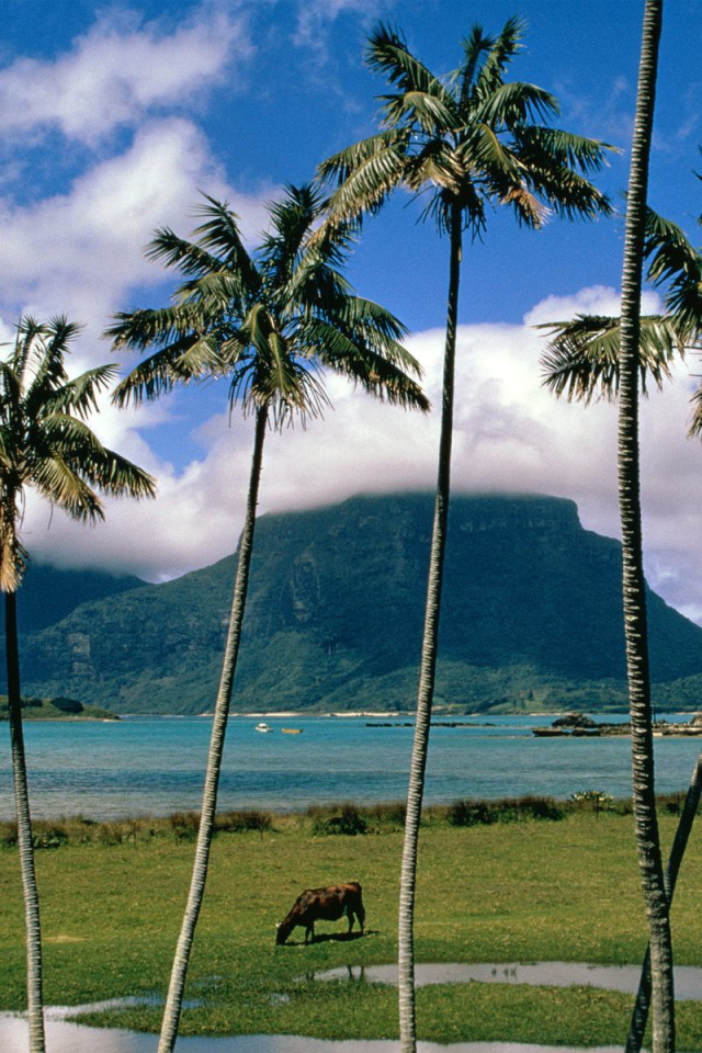 Остров Lord Howe