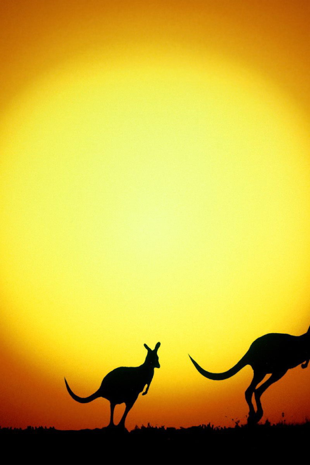 Прыжки кенгуру