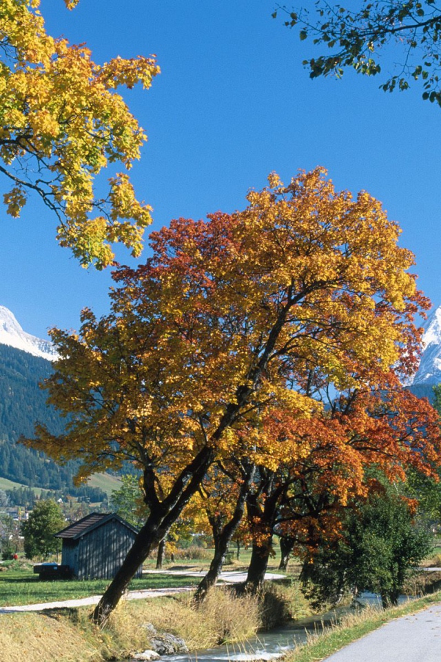 Ehrwald Осенью, Альпы