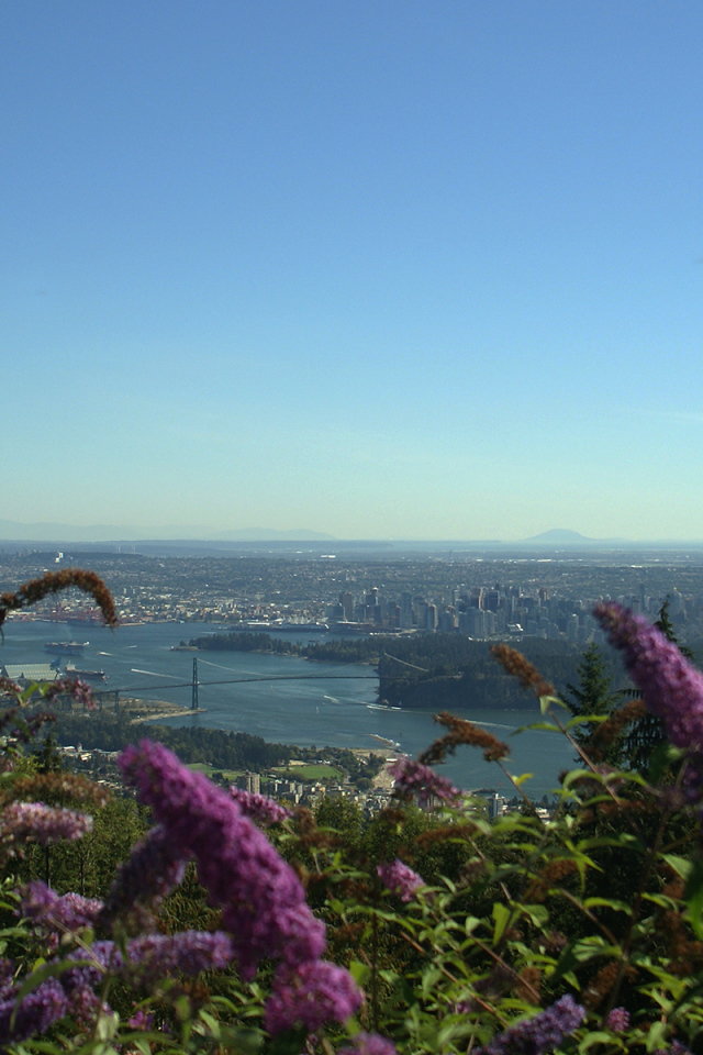 Цветочный Ванкувер