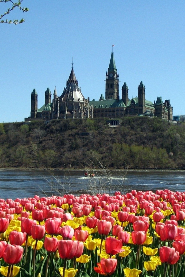 Парламентский холм