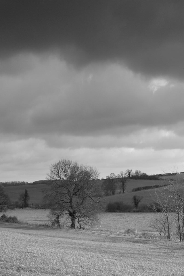 Серая страна