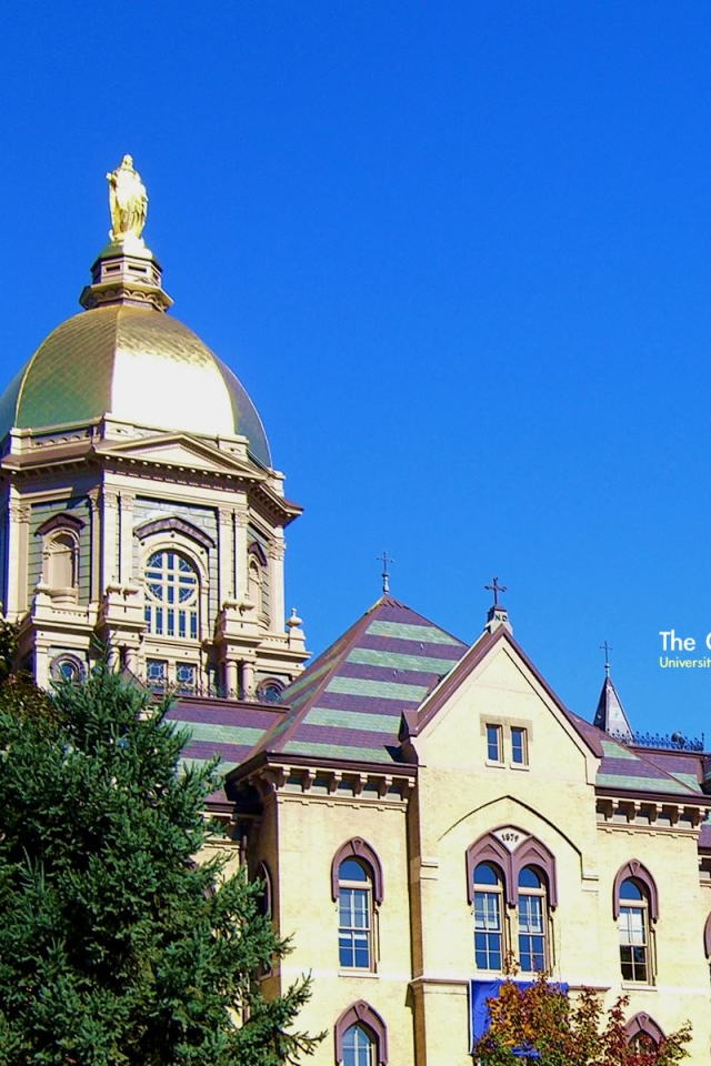 Золотой купол