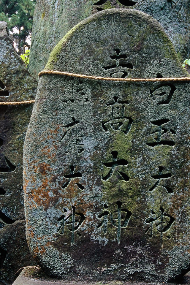 Святыня Фушими-инари Тэйшы, Киото, Япония