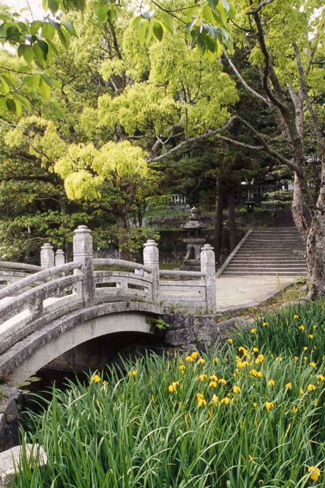 Сад Замка Hagi, Западный Хонсю