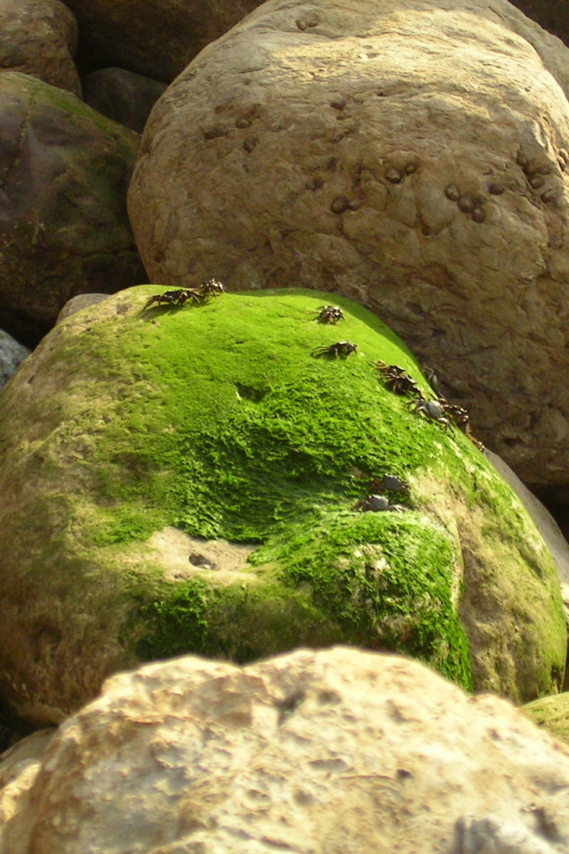 Залив Sao Martinho