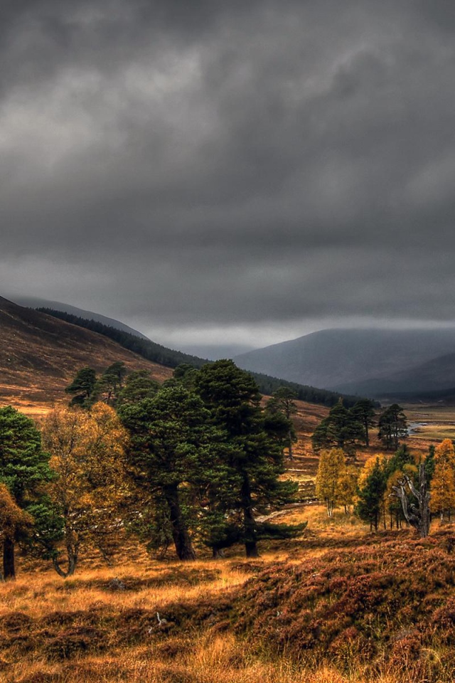 Дымчатые топазы Шотландии