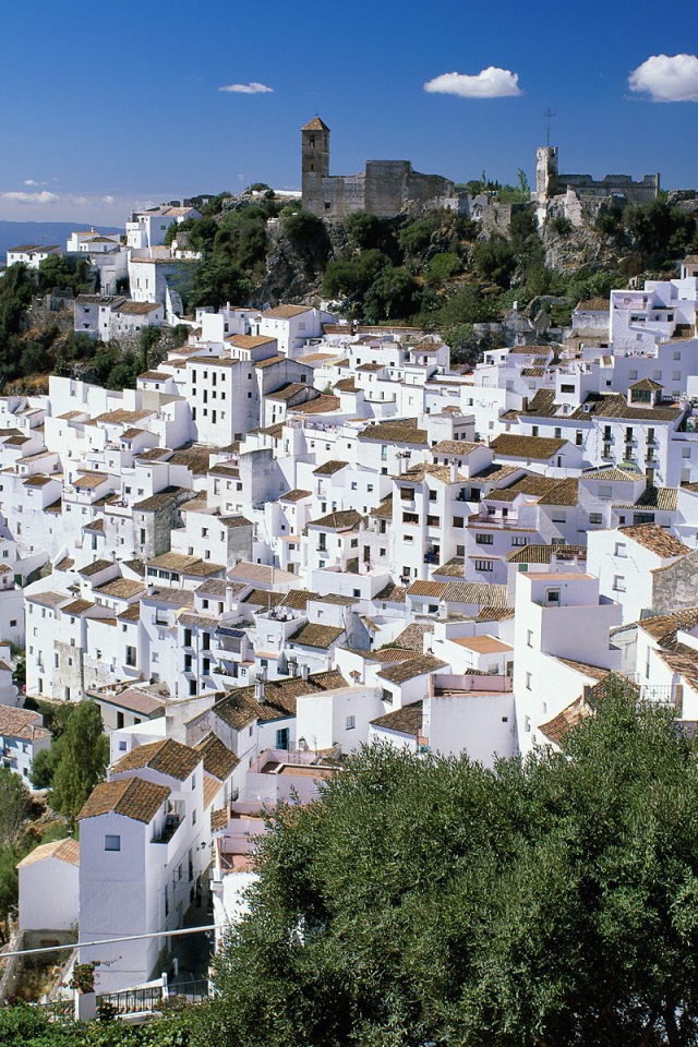Casares