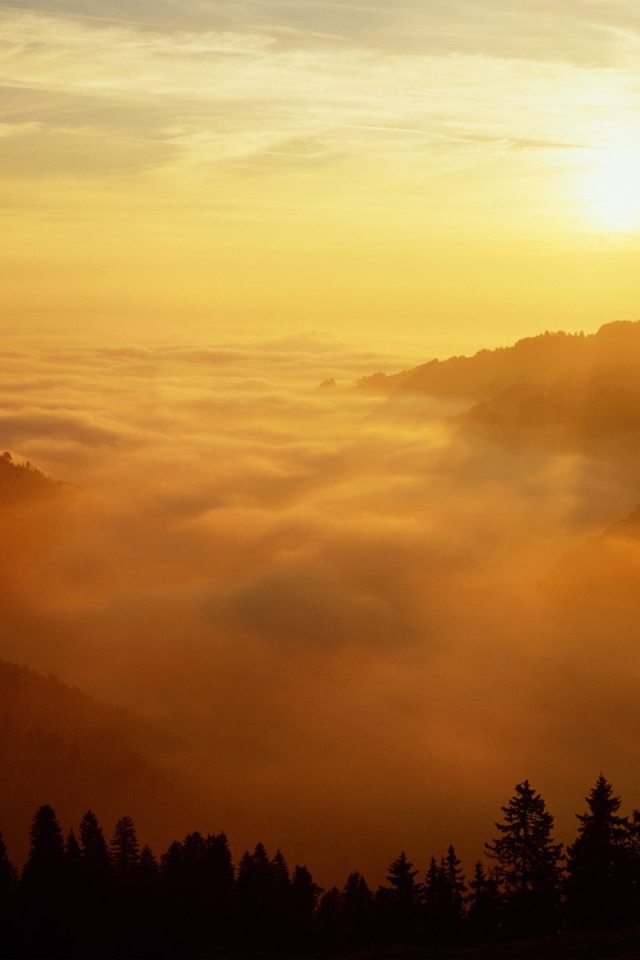 Святой Голлен, Швейцария