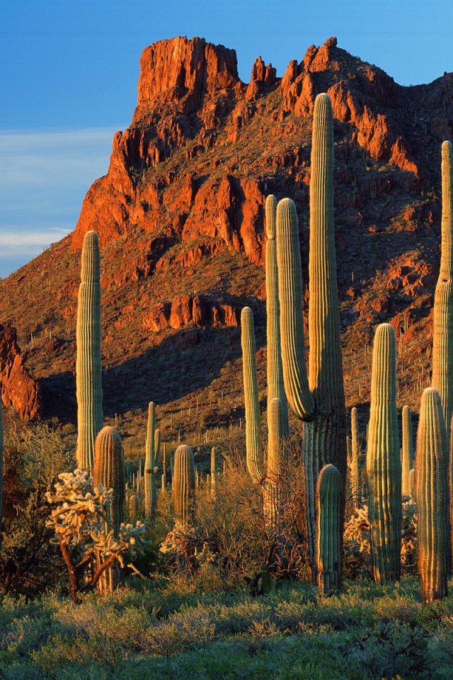 Каньон Аламо / Национальный Памятник / Аризона / США