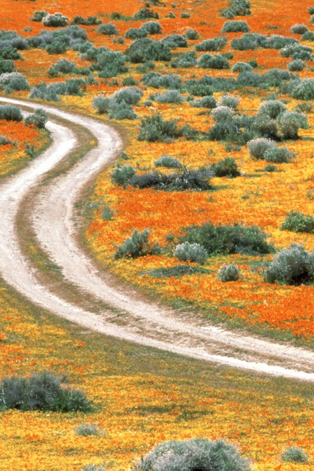 Долина антилопы США