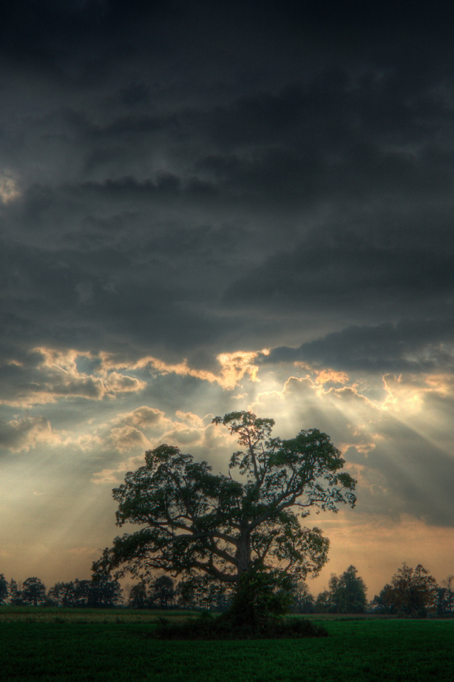 Перед штормом