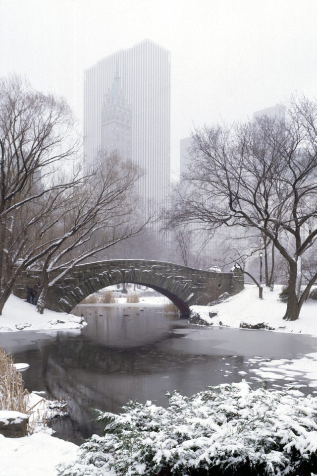 Центральный Парк НЬЮ-ЙОРК США