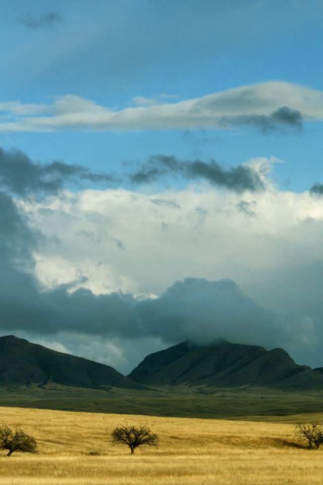 Прояснение Штормовых Облаков / Coronado Национальный Лес / Аризона / США