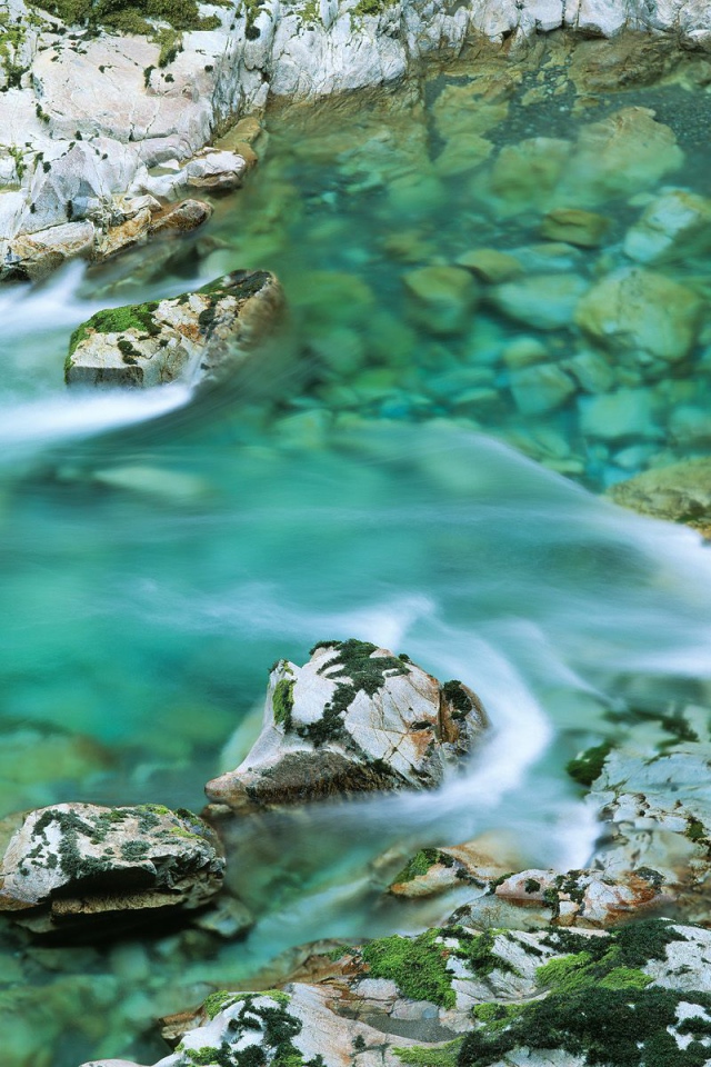 Река Лося США