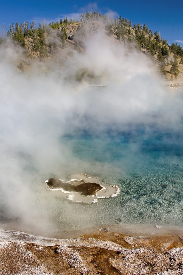Гейзер Мягкой древесной стружки США