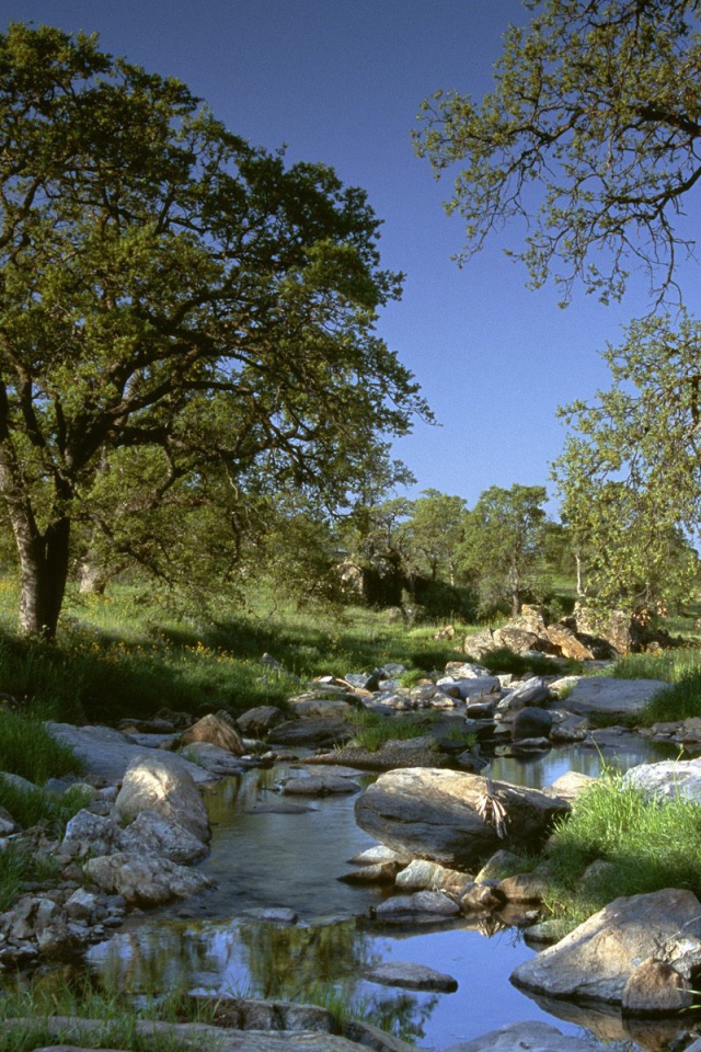 Золотая Страна / Калифорния / США