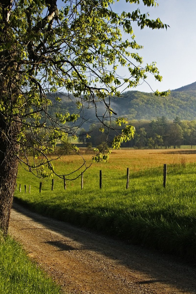 Переулок Hyatt, США