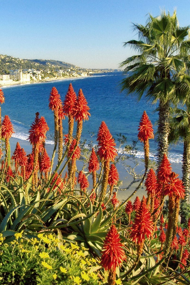 Лагуна Бич / Калифорния / США