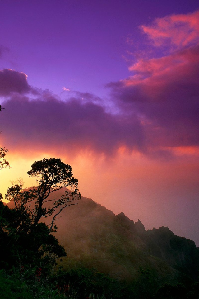 Побережье На Пали , США