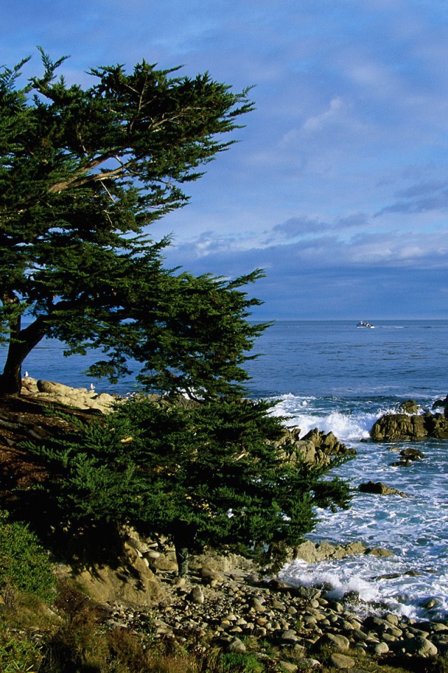 Тихоокеанская Береговая линия / Калифорния / США