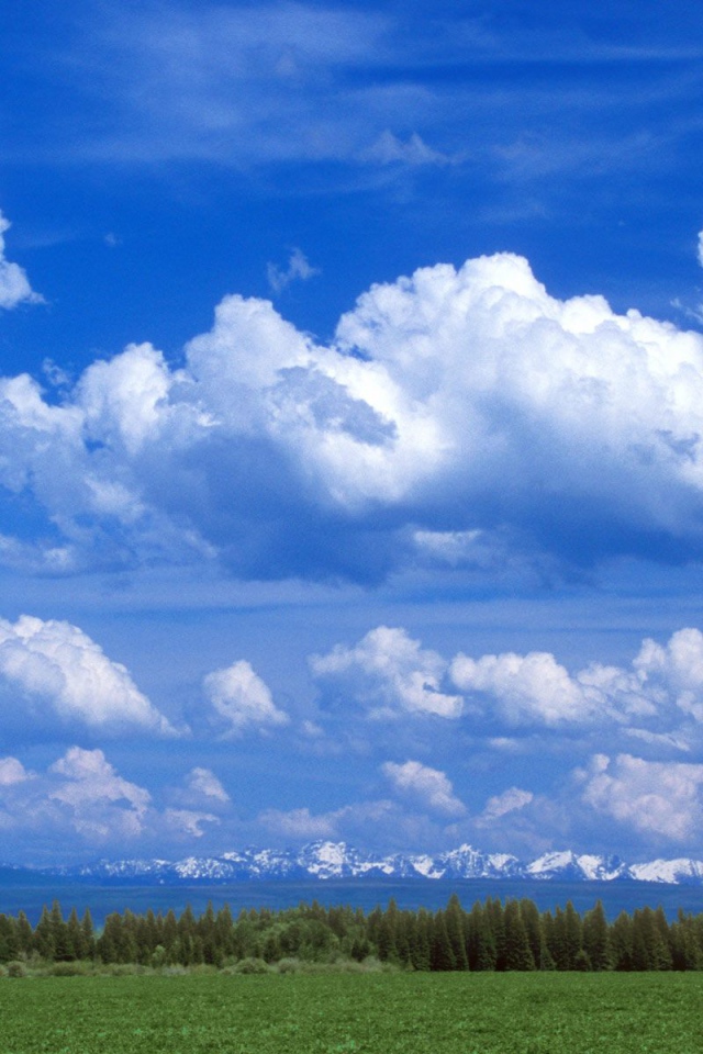 Частично Облачный, США