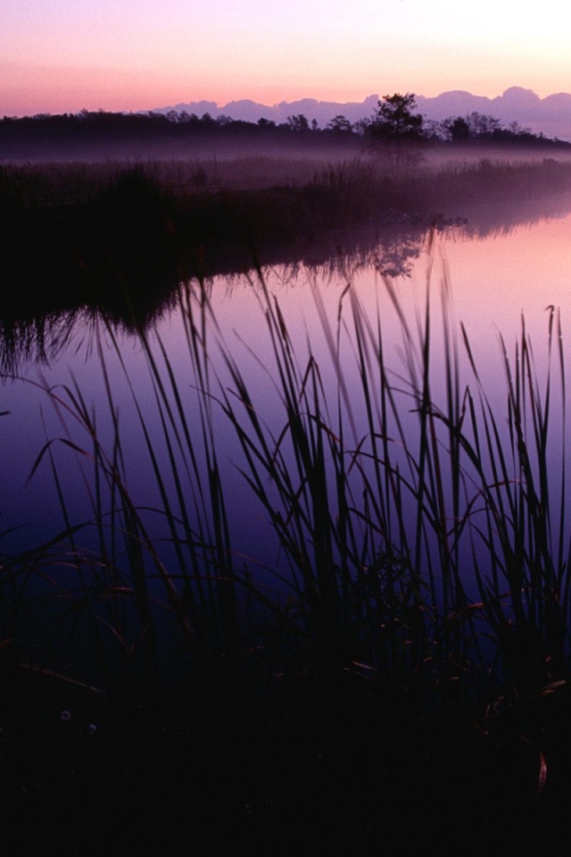 Закат в Убежище, США