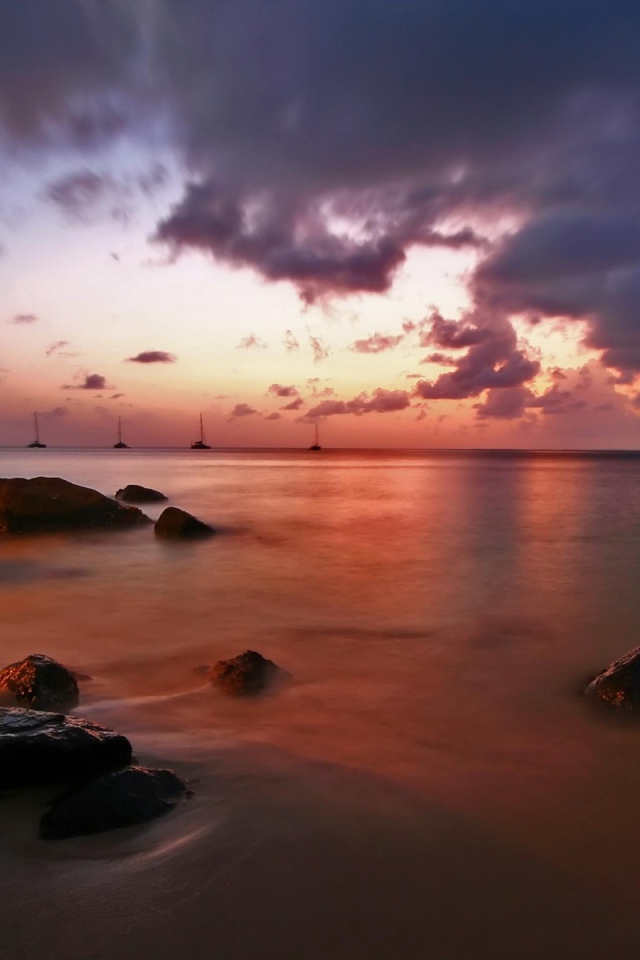 Исчезающий Свет, США