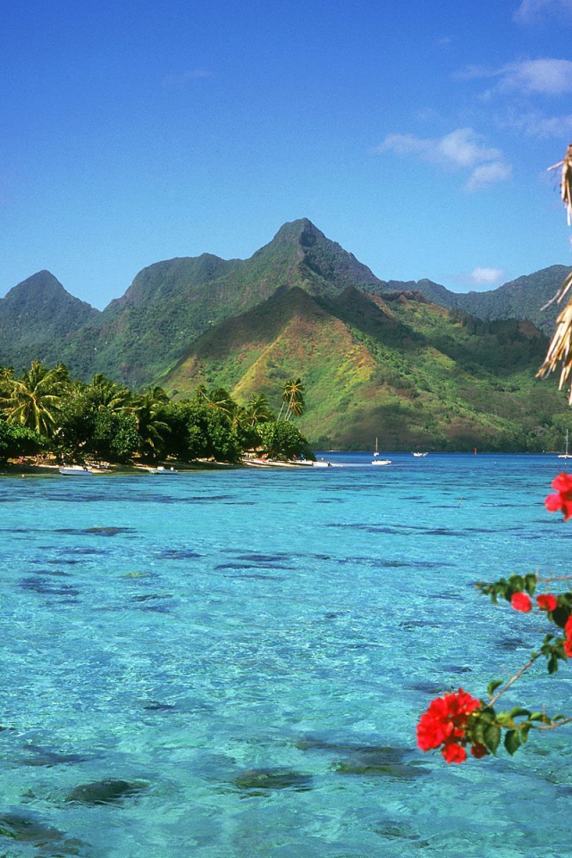 Спокойная Лагуна, США