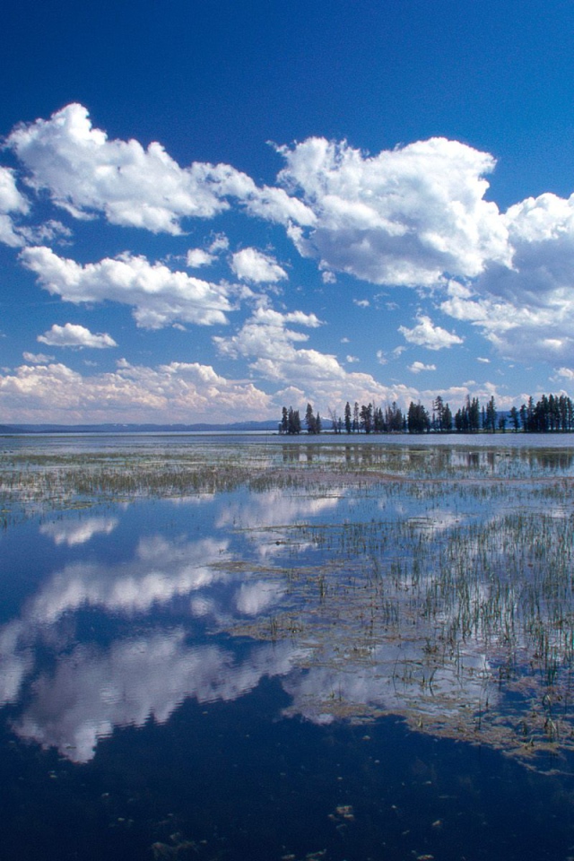 Йеллоустонское Озеро, США