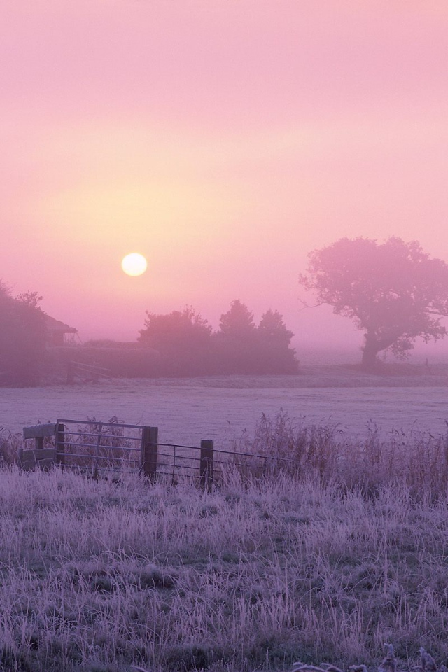 Сельхозугодья